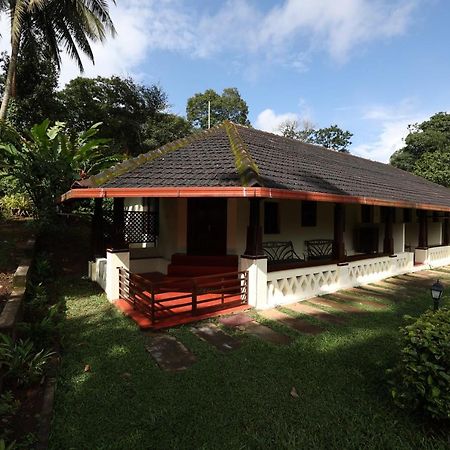 Avadale Coorg - Stag Groups Not Allowed Ammatti Exterior foto