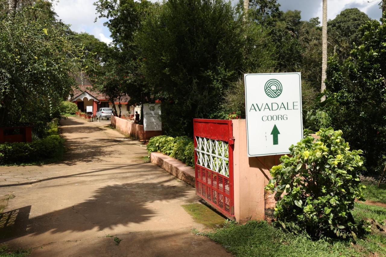 Avadale Coorg - Stag Groups Not Allowed Ammatti Exterior foto