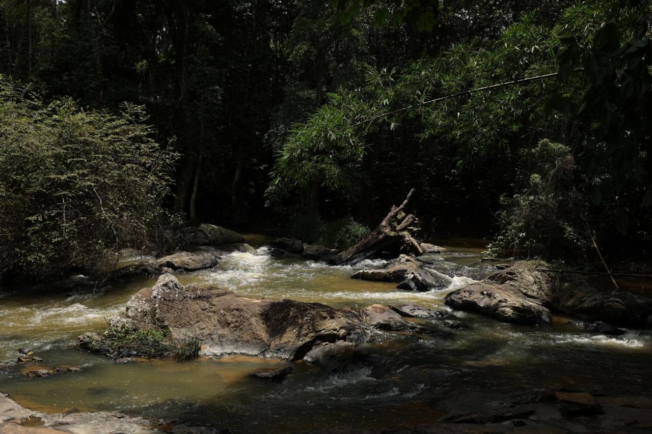 Avadale Coorg - Stag Groups Not Allowed Ammatti Exterior foto