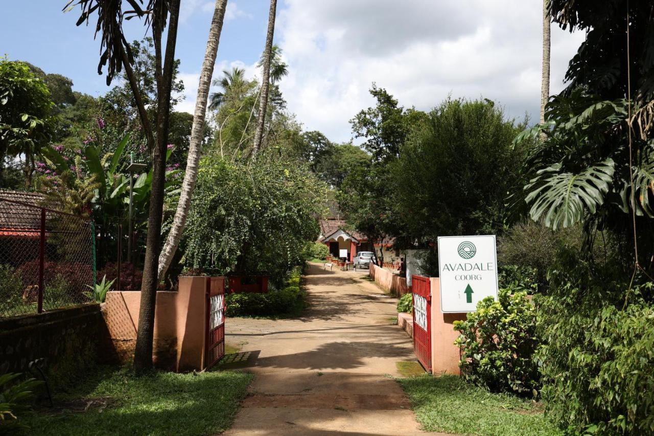 Avadale Coorg - Stag Groups Not Allowed Ammatti Exterior foto