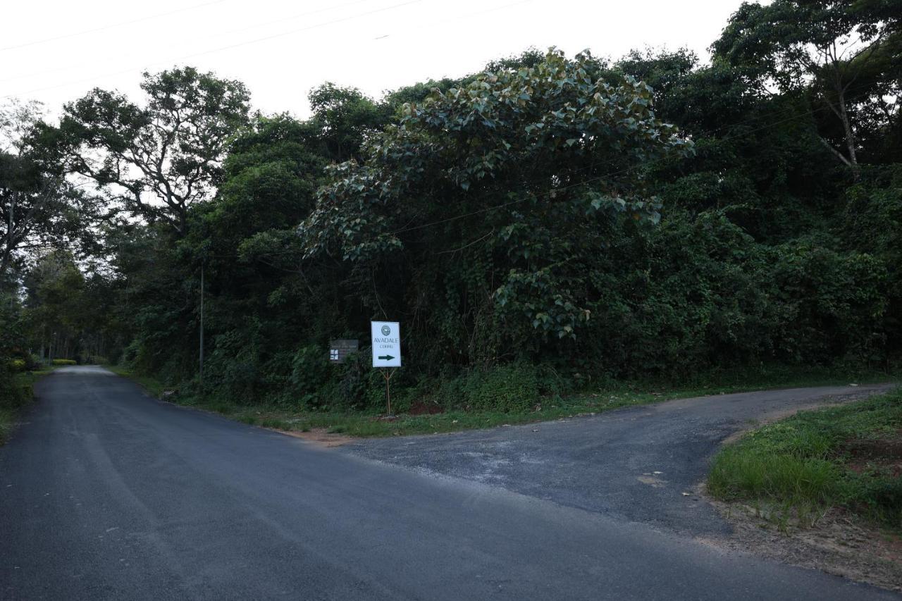 Avadale Coorg - Stag Groups Not Allowed Ammatti Exterior foto