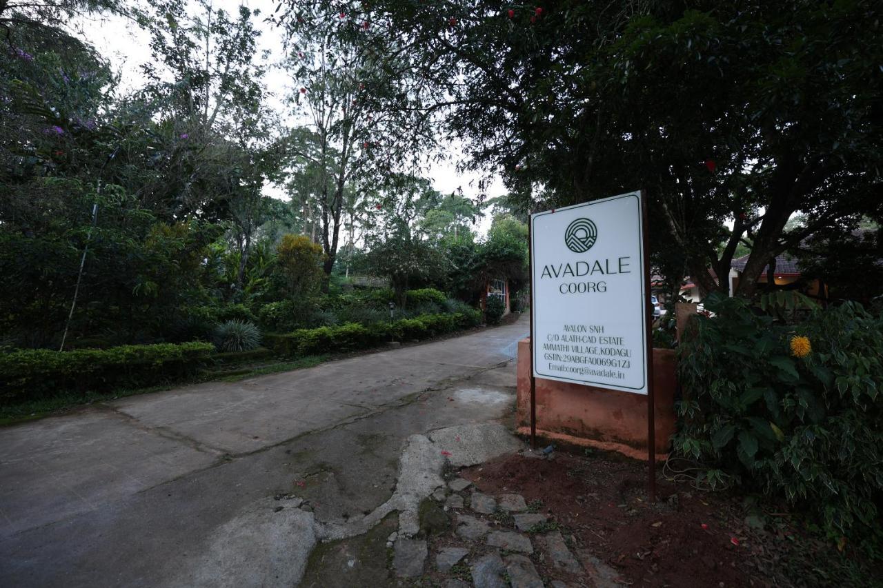 Avadale Coorg - Stag Groups Not Allowed Ammatti Exterior foto